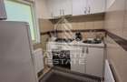 Apartament 1 camera de inchiriat, Pet friendly, AC, Lipovei, Timis - 4