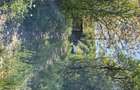 Vand teren intravilan - 1