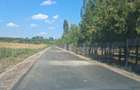 Teren de 3750 mp, în Periș - 4