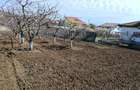 Vils la gri in Buftea, Strada Indepententei,NR 8 ,Calul Balan - 2