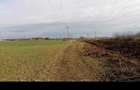 Teren agricol extravilan BorsSantion | CF + cadastru | cota mostenita