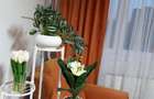 Oportunitate! Apartament 2 camere în București, Bd. Timișoara – lângă Plaza Româ - 3