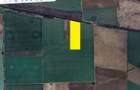 GRADISTEA - Sat Sitaru, Tarla 43, vanzare 22.200 mp. teren cu acces din DJ101 - 2