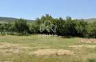 Teren Intravilan 2417 MP | Toate utilitatile | Oarda | Alba Iulia