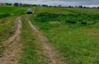 Teren 7300 mp Salcea, Suceava 17 euro mp - 3