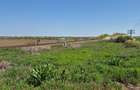 GRADISTEA - Sat Sitaru, teren agricol 11.961mp, ideal investitie - 8