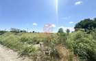 Teren Intravilan 1700 mp - Localitatea Amzacea - 3