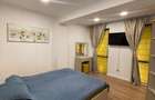 Apartament de lux 2 camere semidecomandat - Centru - 9