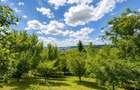 Proprietate deosebita, pe domeniu de 2.300 mp, panorama, Subpadure, Targu Mures:FILM Tur 3D! - 8