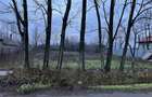 Teren intravilan 1700m2 24ml deschidere la strada astfalta , centru comuna Florica, jud.Buzau 1360 - 5