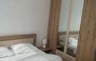 Apartament 2 camere Burdea - 2