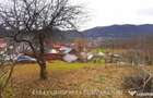 VLADESTI - LOT TEREN BINE AMPLASAT - 2