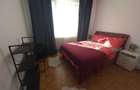 Apartament 3 camere premium Parcul Central de inchiriat - 5