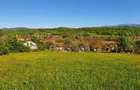 Teren Intravilan Premium 3040 mp in Romane?ti (Tome?ti) - 5