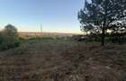 Teren intravilan 1000 mp | Panorama | Front 30 m | Baia Mare - 1