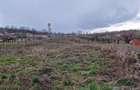 RECO Teren intravilan in Oncea, str. Prunilor - 3
