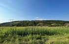 Teren intravilan 2570mp, com. Soimus, sat Bejan *pret negociabil - 1