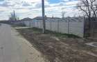 Vand teren intravilan comuna Maxineni(Braila) - 6