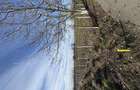 Vand teren intravilan - 5