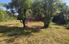 Teren intravilan de vanzare 3375 mp in Brebu - 1