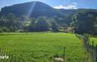 Teren de 1600 mp, în Râu Sadului - 1