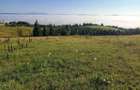 Teren De Vanzare pasul Tihuta/Bistrita Nasaud - 4
