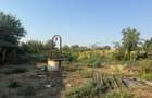 Teren intravilan 2.400 mp in Baile?ti 24 m deschidere la strada - 4