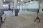 Inchiriere Hala 650mp Drum intre Tarlale - 5