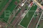 Teren intravilan de vanzare, 7000 mp, DN 17, zona Podirei - 2