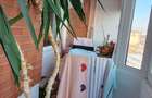 Patru camere comfort maxim - 19