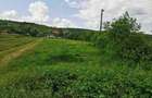 Teren de 3008 mp, în Pădurenii - 1