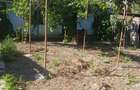 Casă cu 3 camere cu Teren 43 Mp în Central