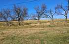Casa Valea tarnei 8 hectare p mant - 1