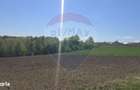 Teren de vanzare in Horodnic de Sus - 5