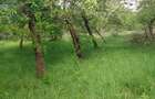 case de vanzare arges - 2