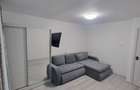 PF Inchiriez apartament cu 1 camera in Lunca Cetatuii - 3