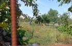 De vanzare casa in localitatea Covaci - Jud. Timis - 4