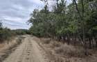 Teren Intravilan locuinte langa padure Pruni, Magurele, Ilfov,