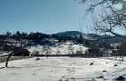 Teren intravilan la munte, in Nereju, Vrancea - 9