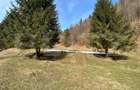Teren exceptional de vanzare, 5170 mp zona Plaiul Foii, Zar - Zarnesti (Brasov)