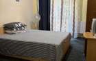 Proprietar Inchiriez Apartament Ultracentral Universitate - 8