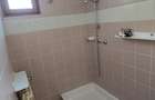 Vanzare vila P+1+M cu 5 camere, casa batraneasca , 2 garaje, teren 9249mp, - 16