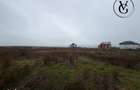 Teren 1000 mp Palazu Mare | Ideal investitie - 4