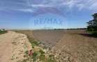 Teren 545,000mp Dragomiresti-Vale - 7