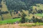 Teren intravilan ,extravilan Pojorata-Bucovina