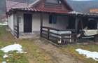 Casa de vanzare in Pangarati - 1
