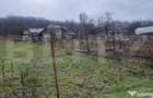 TEREN 2944 MP+2 Cladiri renovat/demolat - 7