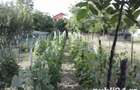 Casă cu 6 camere cu Teren 1806 Mp în Mărăcineni - 1
