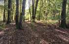 TEREN Intravilan 500-1000mp | Cadru natural deosebit | OCAZIE DE INVESTITIE
