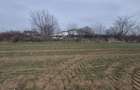 Teren intravilan ieftin Balotesti, 1100 mp, 25000 euro - 6